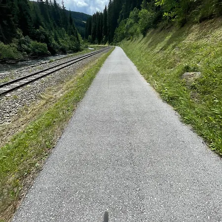 Appartement Cozy In The Lungau Region.